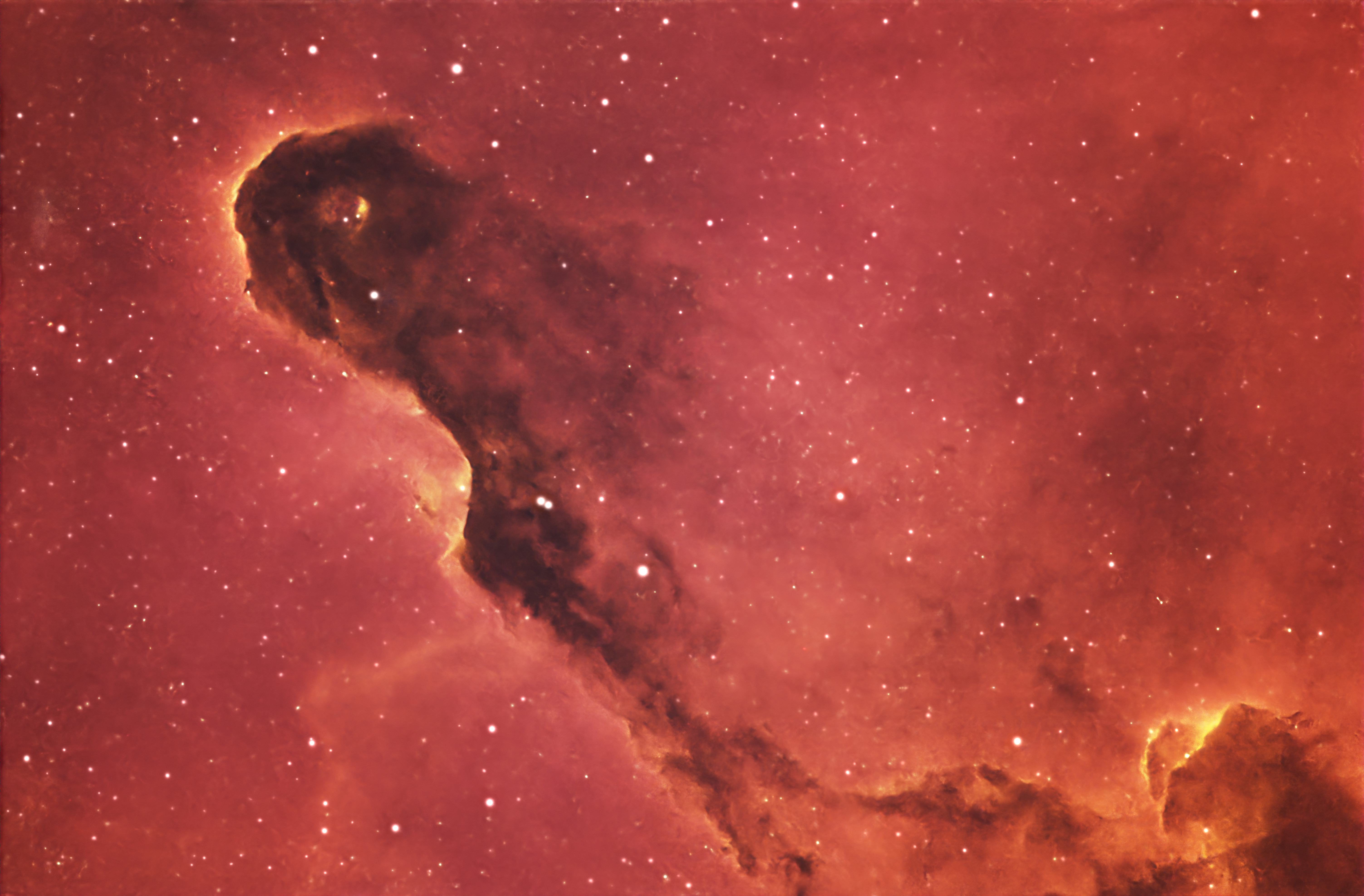 Elephant’s Trunk Nebula (IC 1396A) image
