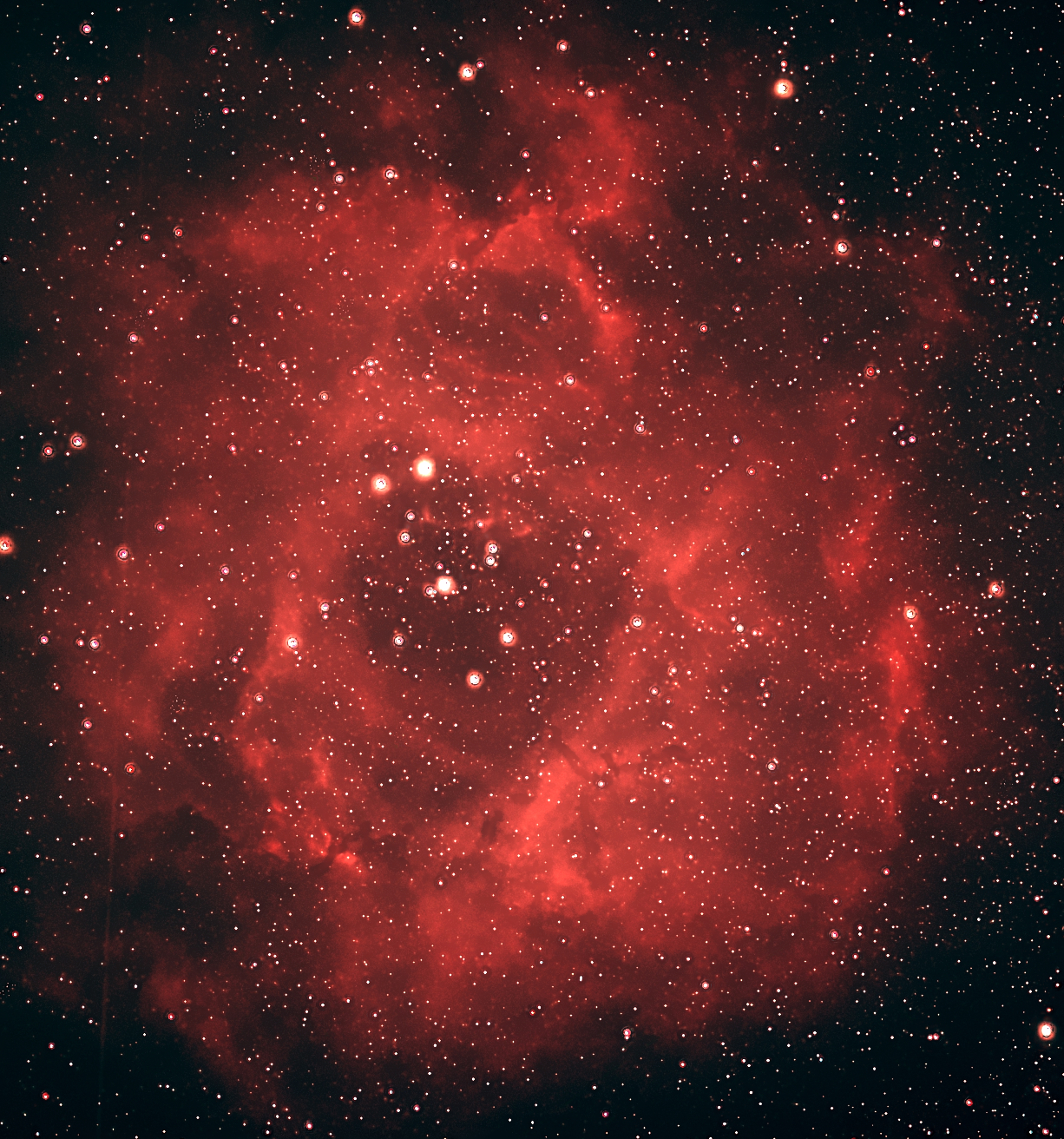 Rosette Nebula (NGC 2237–2246) image