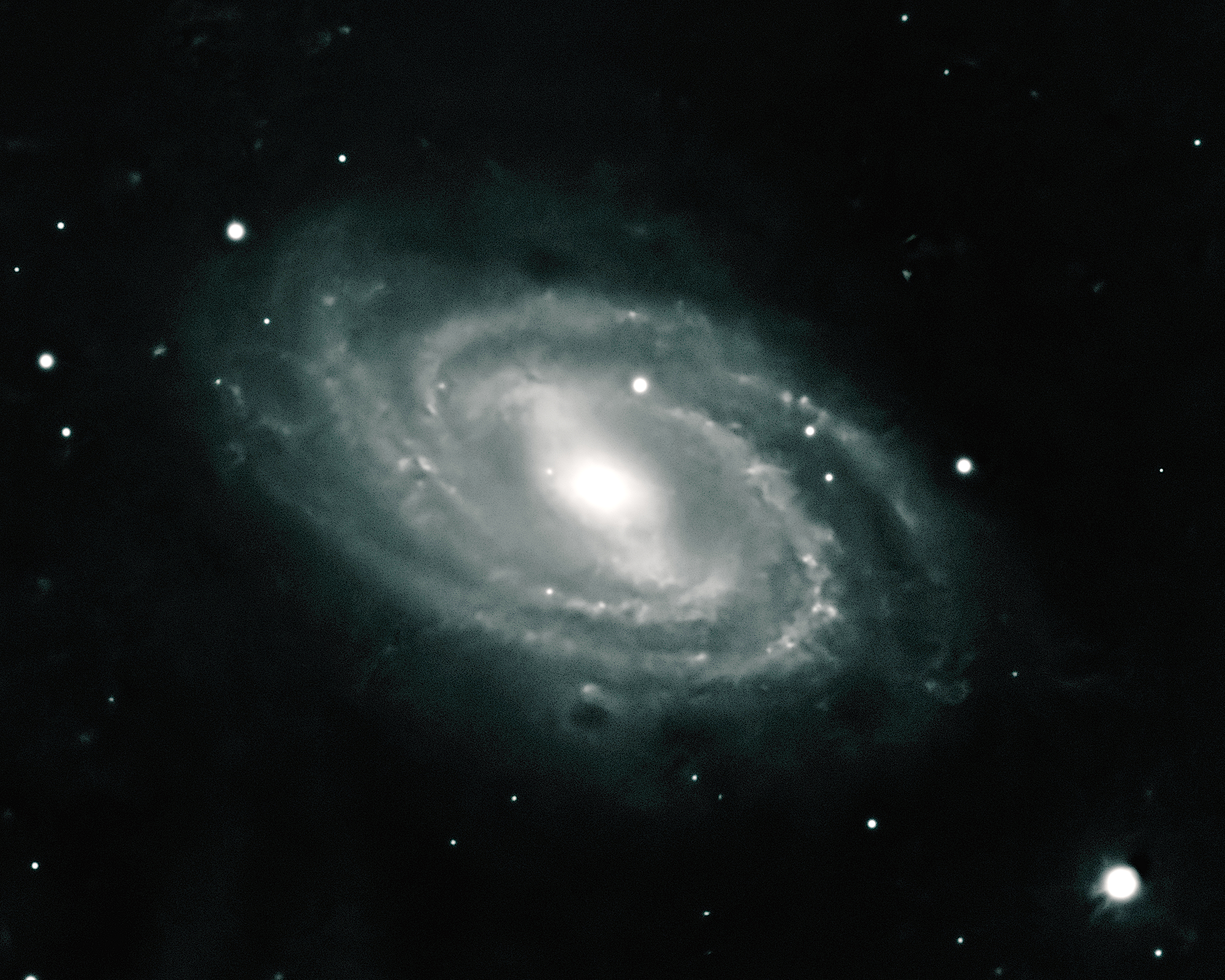 Messier 109 (M109) image