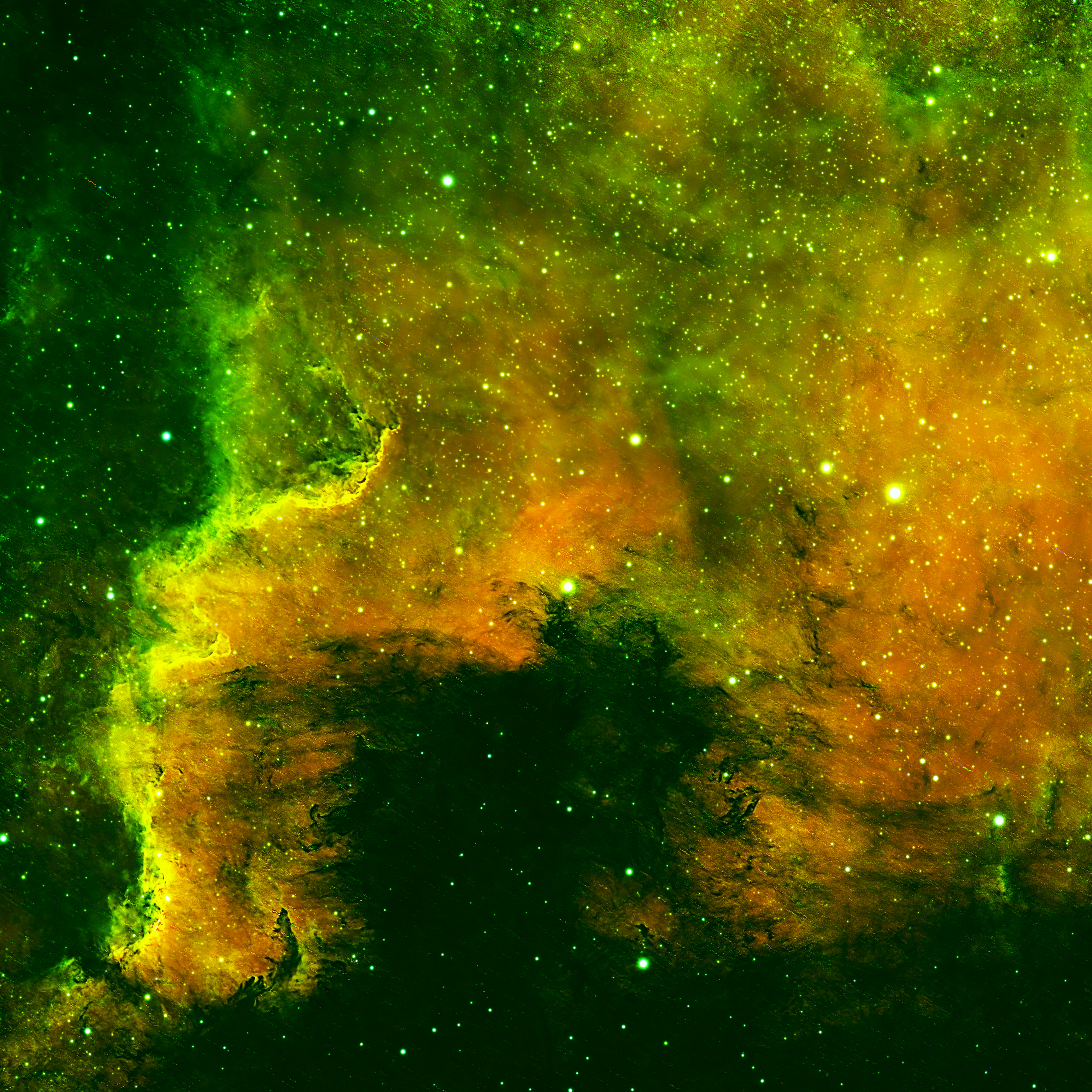 North America Nebula (NGC 7000) image