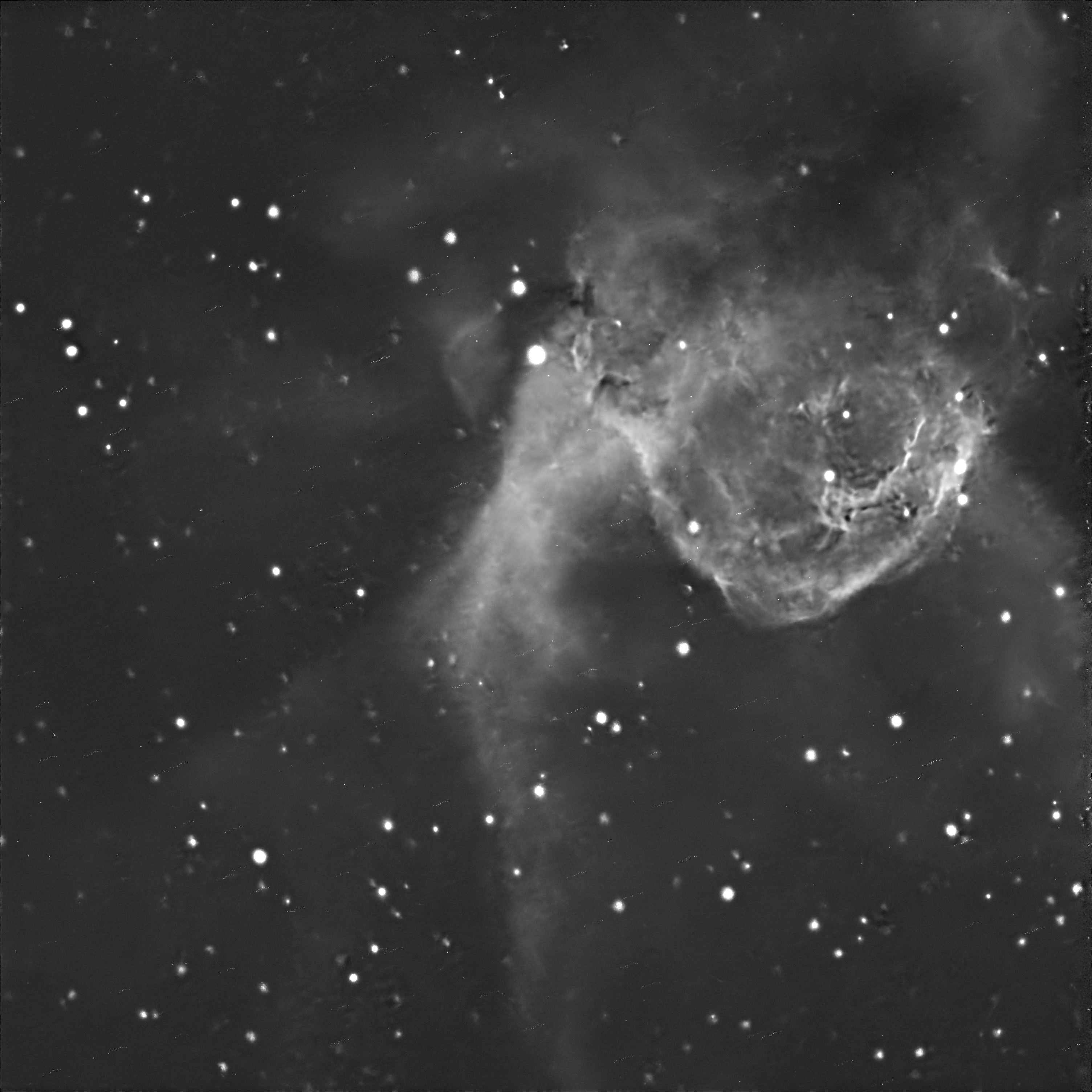 Duck Nebula Region image